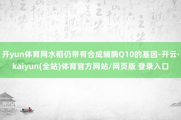 开yun体育网水稻仍带有合成辅酶Q10的基因-开云·kaiyun(全站)体育官方网站/网页版 登录入口